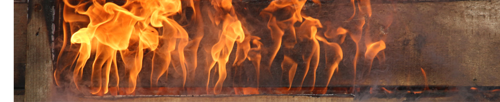 ffw-head-brand-bretter